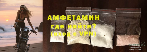 СК Пересвет