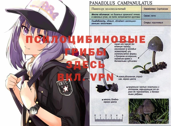 героин Арсеньев