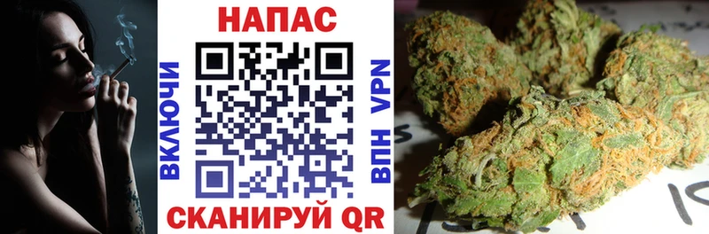 MEGA вход  Тимашёвск  Шишки марихуана Bruce Banner 